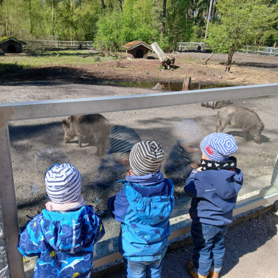 Ausflug ins Wildgehege