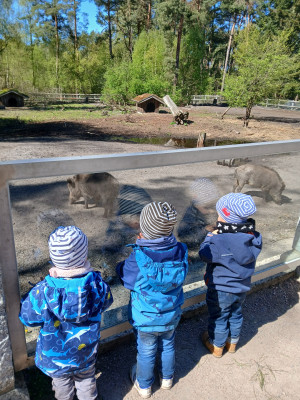 Ausflug ins Wildgehege